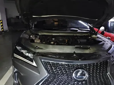 Lexus RX 2017, 73800 км, за 21232.67 USD - фото 21