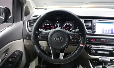 Kia Canival 2018, 160249 км, за 4889.33 USD - фото 13