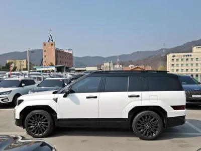 Hyundai Santafe · 2024 год