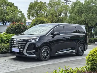 Denza Denza D9 · 2025 год