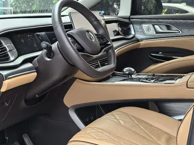 Denza Denza D9 2025, 75000 км, за 30322.95 USD