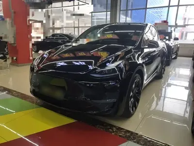 Tesla Model Y · 2023 год