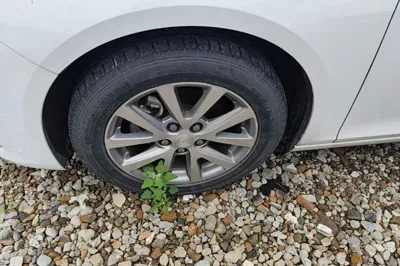 Chevrolet Malibu 2017, 93400 км, за 6430 USD - фото 10