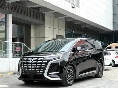 Denza Denza D9 · 2023 год