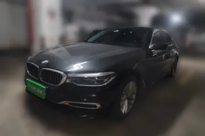 BMW 5 Series · 2019 год