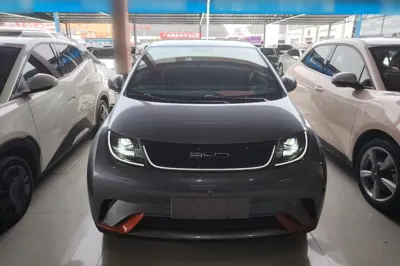 BYD Dolphin 2021, 74000 км, за 9829 USD