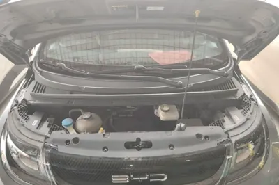 BYD Dolphin 2021, 74000 км, за 9829 USD - фото 24