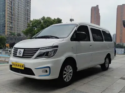 Fengxing Lingzhi New Energy · 2021 год