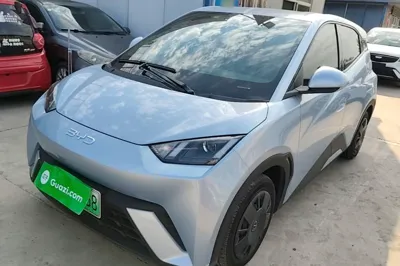 BYD Seagull · 2024 год