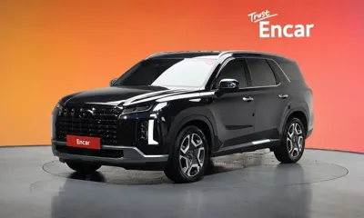 Hyundai Palisade · 2024 год