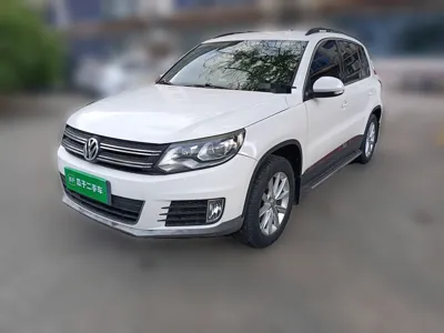 Volkswagen Tiguan · 2015 год