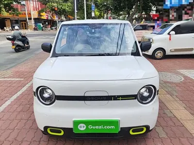 Galaxy Panda 2025, 5200 км, за 5428.09 USD