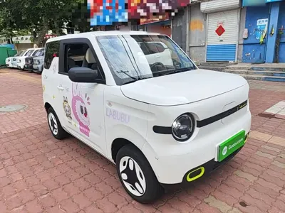 Galaxy Panda 2025, 5200 км, за 5428.09 USD