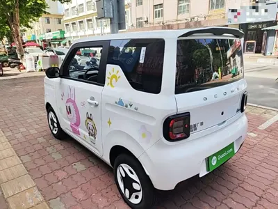 Galaxy Panda 2025, 5200 км, за 5428.09 USD