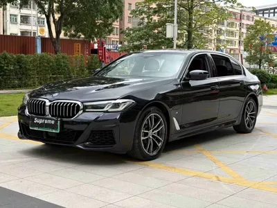 BMW 5 Series New Energy