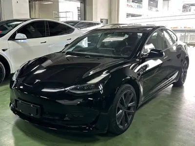 Tesla Model 3 · 2021 год