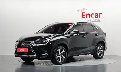 Lexus NX · 2021 год