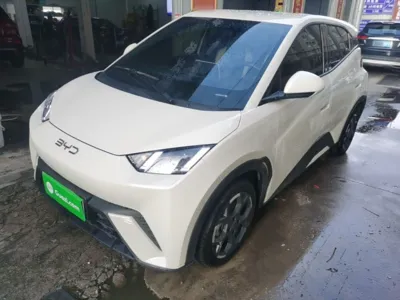 BYD Seagull · 2024 год