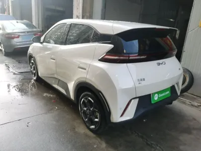 BYD Seagull
