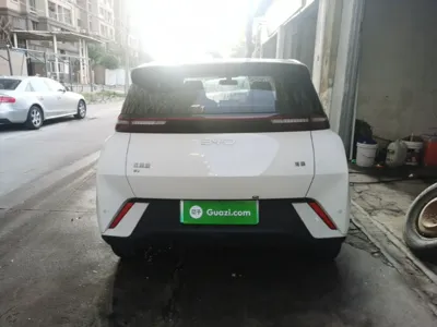 BYD Seagull