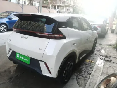 BYD Seagull