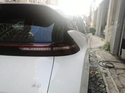 BYD Seagull