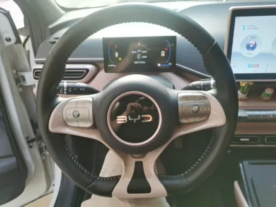BYD Seagull