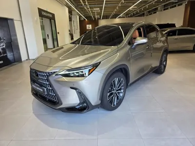 Lexus NX · 2025 год