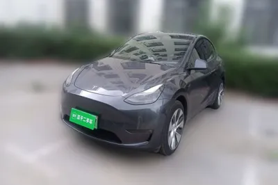Tesla Model Y · 2021 год
