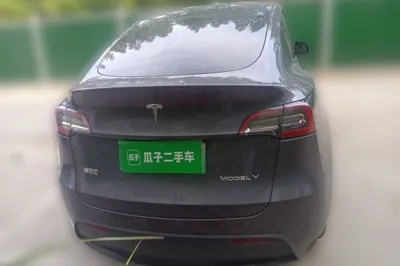 Tesla Model Y 2021, 123500 км, за 20402 USD