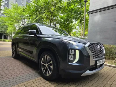 Hyundai Palisade 2019, 170296 км, за 12344.79 USD