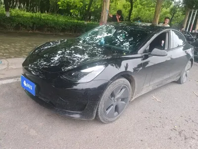 Tesla Model 3 · 2021 год