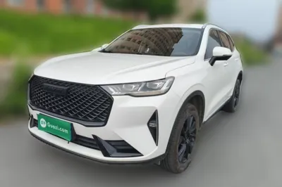 Haval H6 · 2021 год