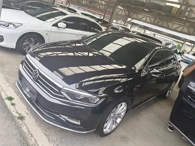 Volkswagen Magotan · 2021 год