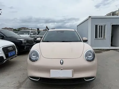 ORA Ora Good Cat 2024, 30500 км, за 9696.69 USD