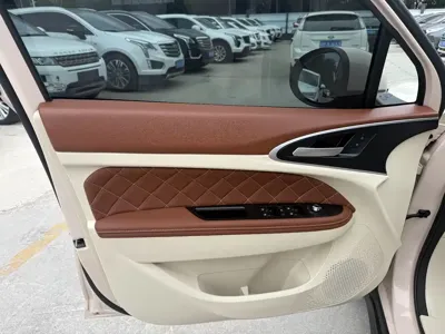 ORA Ora Good Cat 2024, 30500 км, за 9696.69 USD
