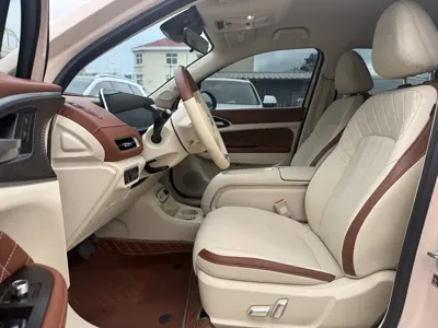 ORA Ora Good Cat 2024, 30500 км, за 9696.69 USD