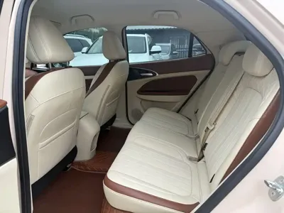ORA Ora Good Cat 2024, 30500 км, за 9696.69 USD