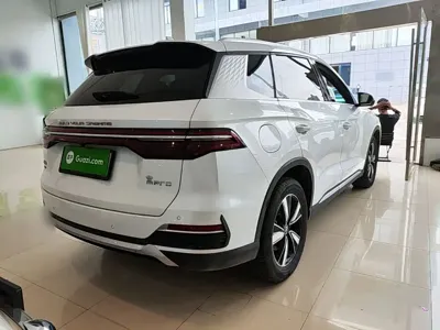 BYD Pro New Energy 2023, 57800 км, за 10329.14 USD - фото 7
