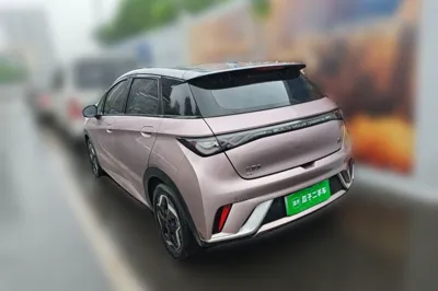 BYD Dolphin 2021, 88500 км, за 9551 USD