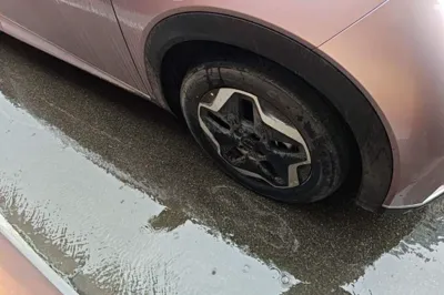BYD Dolphin 2021, 88500 км, за 9551 USD