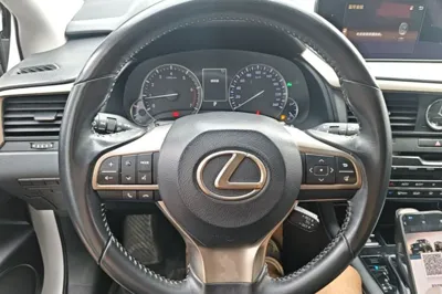 Lexus RX 2016, 171000 км, за 23092 USD - фото 15