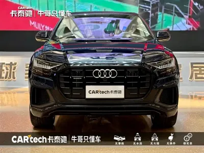 Audi Q8 · 2024 год