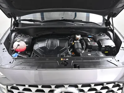 Hyundai Santafe 2021, 124226 км, за 11726.39 USD - фото 6