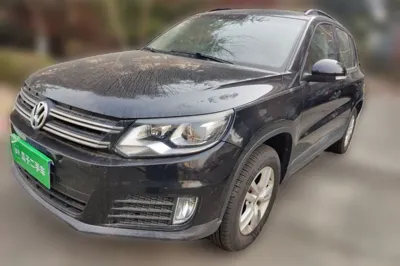 Volkswagen Tiguan · 2015 год