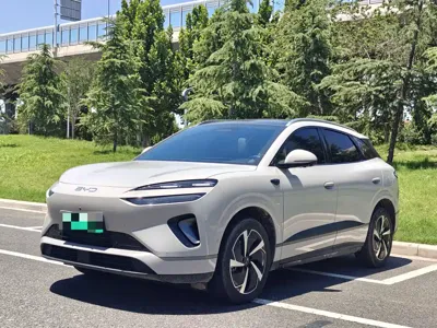 BYD 海狮06 · 2026 год