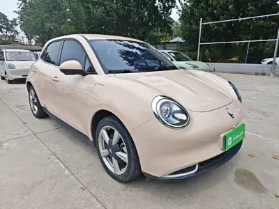 ORA Ora Good Cat 2022, 39100 км, за 8587.94 USD