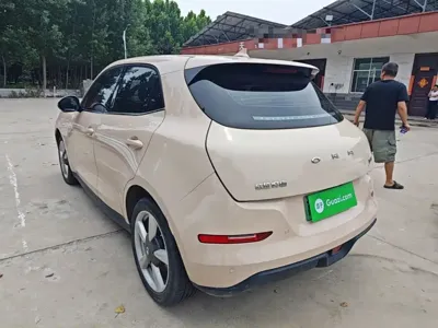ORA Ora Good Cat 2022, 39100 км, за 8587.94 USD
