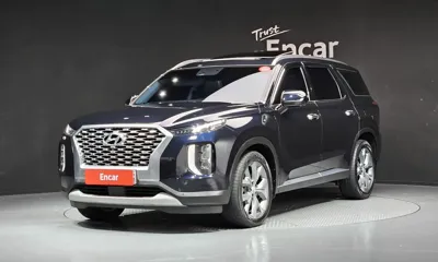 Hyundai Palisade · 2019 год