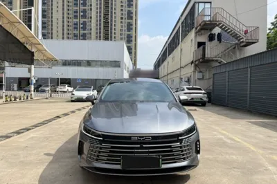 BYD Destroyer 05 2023, 45700 км, за 8798 USD - фото 11